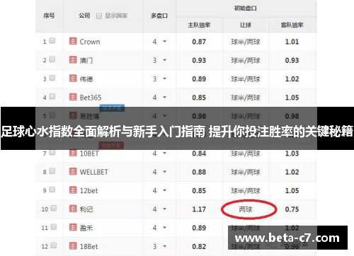 足球心水指数全面解析与新手入门指南 提升你投注胜率的关键秘籍