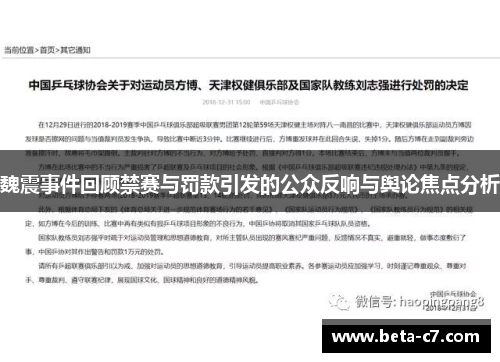 魏震事件回顾禁赛与罚款引发的公众反响与舆论焦点分析